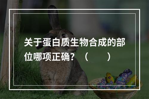 关于蛋白质生物合成的部位哪项正确？（　　）