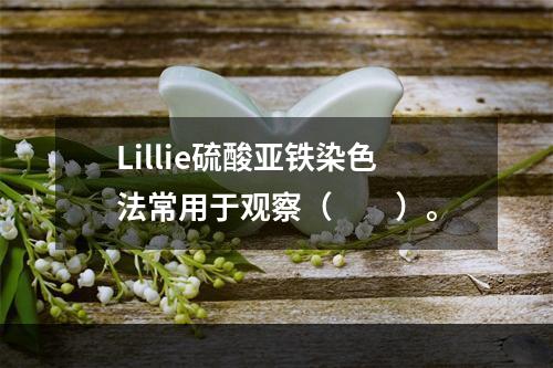 Lillie硫酸亚铁染色法常用于观察（　　）。