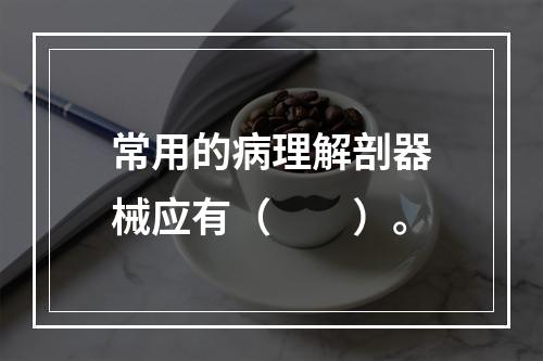 常用的病理解剖器械应有（　　）。