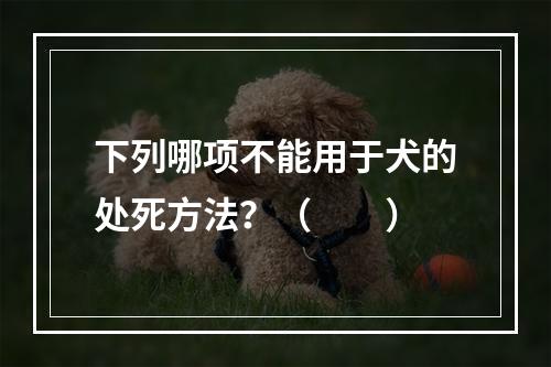 下列哪项不能用于犬的处死方法？（　　）