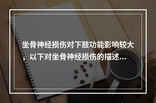 坐骨神经损伤对下肢功能影响较大，以下对坐骨神经损伤的描述，不