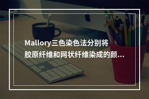 Mallory三色染色法分别将胶原纤维和网状纤维染成的颜色