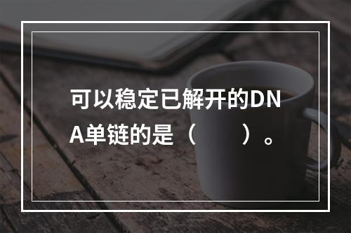 可以稳定已解开的DNA单链的是（　　）。