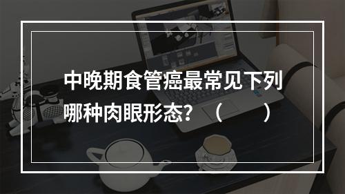 中晚期食管癌最常见下列哪种肉眼形态？（　　）