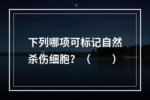 下列哪项可标记自然杀伤细胞？（　　）