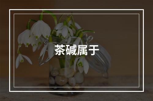 茶碱属于