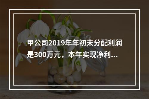 甲公司2019年年初未分配利润是300万元，本年实现净利润5