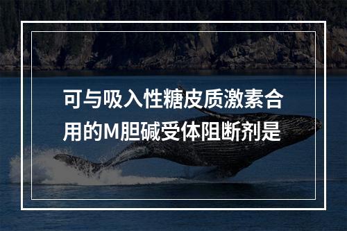 可与吸入性糖皮质激素合用的M胆碱受体阻断剂是