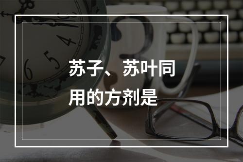 苏子、苏叶同用的方剂是