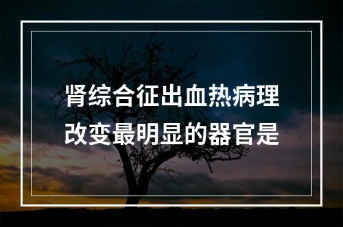 肾综合征出血热病理改变最明显的器官是