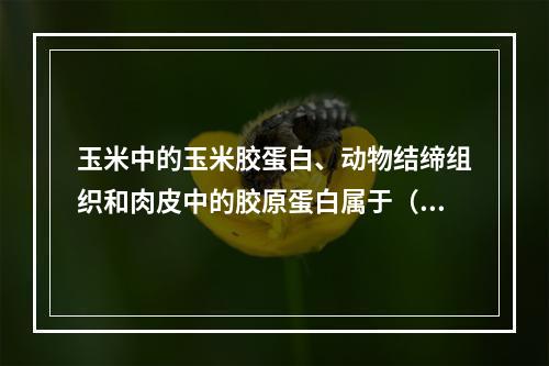 玉米中的玉米胶蛋白、动物结缔组织和肉皮中的胶原蛋白属于（　