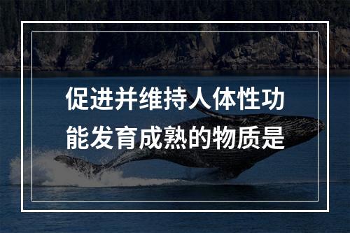 促进并维持人体性功能发育成熟的物质是