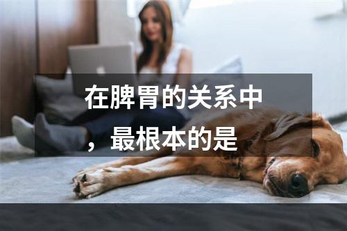 在脾胃的关系中，最根本的是