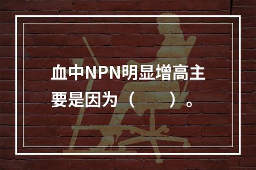 血中NPN明显增高主要是因为（　　）。