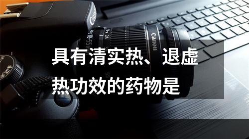 具有清实热、退虚热功效的药物是