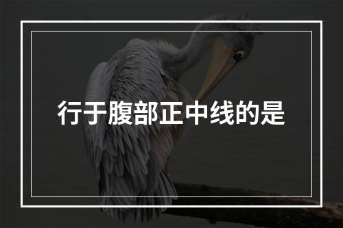 行于腹部正中线的是