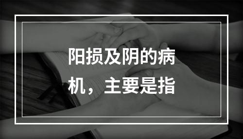 阳损及阴的病机，主要是指