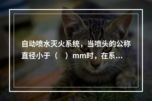 自动喷水灭火系统，当喷头的公称直径小于（　）mm时，在系统配