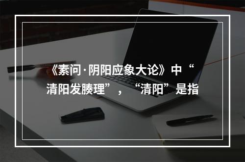 《素问·阴阳应象大论》中“清阳发腠理”，“清阳”是指