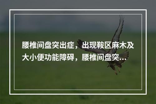 腰椎间盘突出症，出现鞍区麻木及大小便功能障碍，腰椎间盘突出压