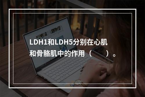 LDH1和LDH5分别在心肌和骨骼肌中的作用（　　）。