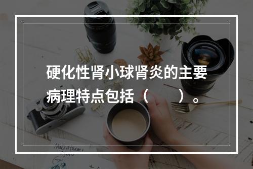 硬化性肾小球肾炎的主要病理特点包括（　　）。