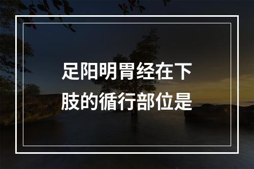 足阳明胃经在下肢的循行部位是