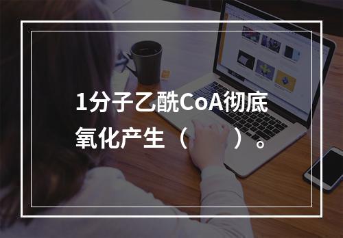 1分子乙酰CoA彻底氧化产生（　　）。