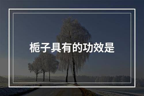 栀子具有的功效是