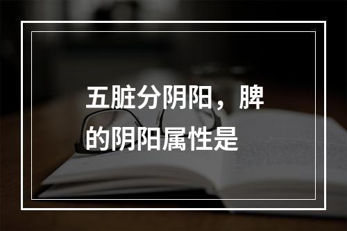 五脏分阴阳，脾的阴阳属性是