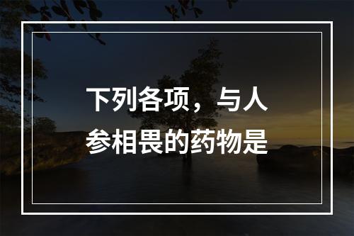 下列各项，与人参相畏的药物是