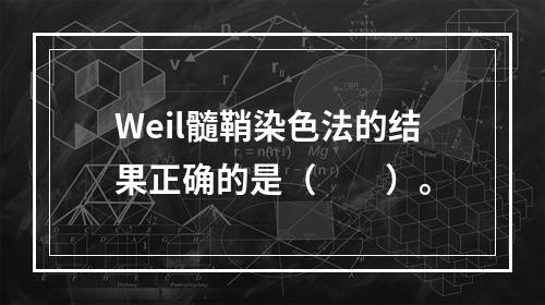 Weil髓鞘染色法的结果正确的是（　　）。