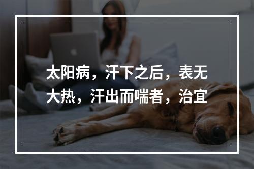 太阳病，汗下之后，表无大热，汗出而喘者，治宜