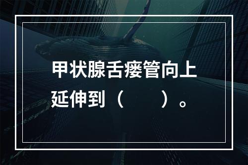 甲状腺舌瘘管向上延伸到（　　）。