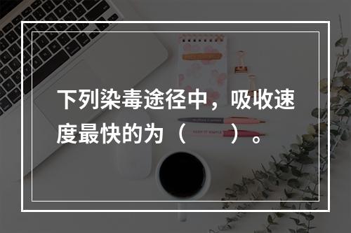 下列染毒途径中，吸收速度最快的为（　　）。