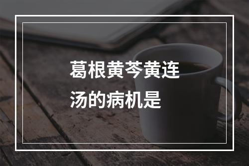 葛根黄芩黄连汤的病机是