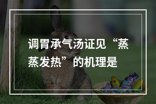 调胃承气汤证见“蒸蒸发热”的机理是