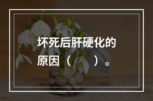 坏死后肝硬化的原因（　　）。