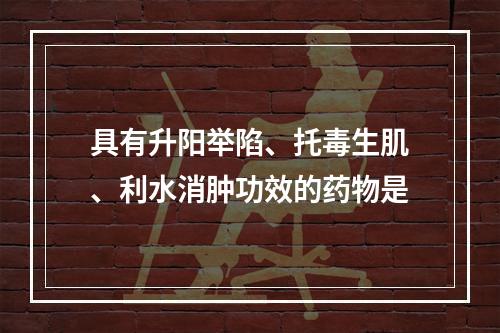 具有升阳举陷、托毒生肌、利水消肿功效的药物是