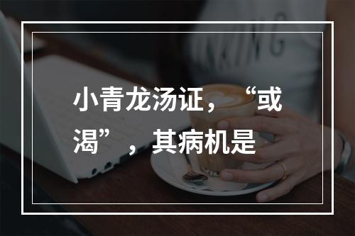 小青龙汤证，“或渴”，其病机是