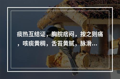 痰热互结证，胸脘痞闷，按之则痛，咳痰黄稠，舌苔黄腻，脉滑数，