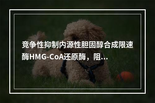 竞争性抑制内源性胆固醇合成限速酶HMG-CoA还原酶，阻断胆