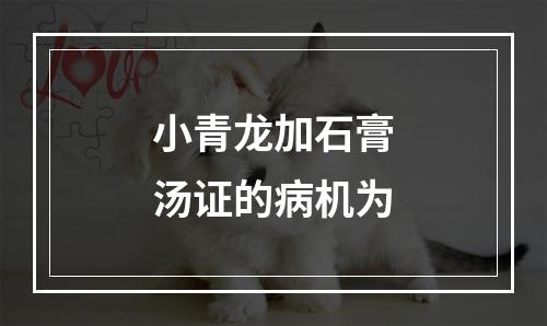 小青龙加石膏汤证的病机为