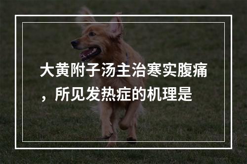 大黄附子汤主治寒实腹痛，所见发热症的机理是