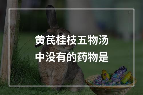 黄芪桂枝五物汤中没有的药物是