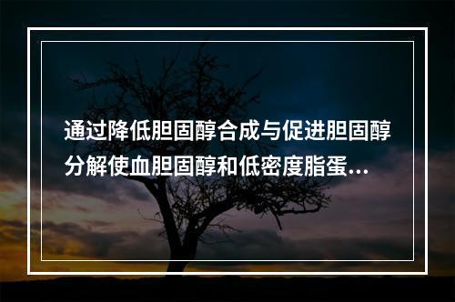 通过降低胆固醇合成与促进胆固醇分解使血胆固醇和低密度脂蛋白降