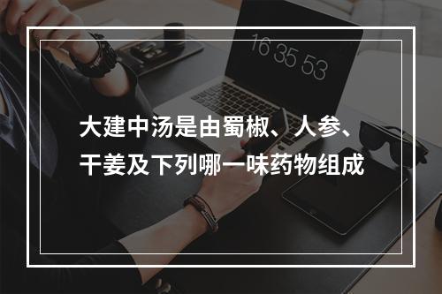 大建中汤是由蜀椒、人参、干姜及下列哪一味药物组成