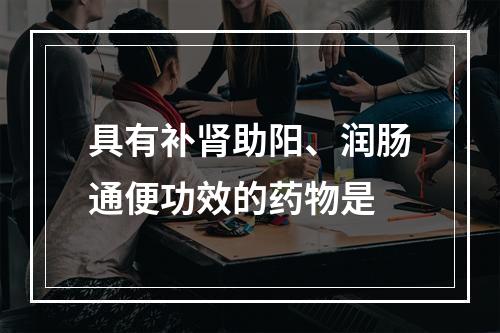 具有补肾助阳、润肠通便功效的药物是