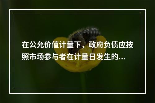 在公允价值计量下，政府负债应按照市场参与者在计量日发生的有序