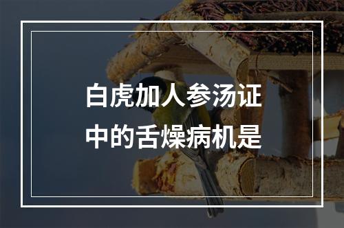 白虎加人参汤证中的舌燥病机是